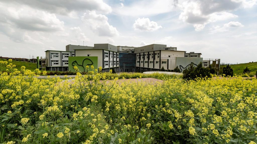 Magazzino verticale automatico SILO² per farmaci posizionato al centro dell'ospedale — Ospedale Pediatrico di Erbil, Kurdistan Iracheno