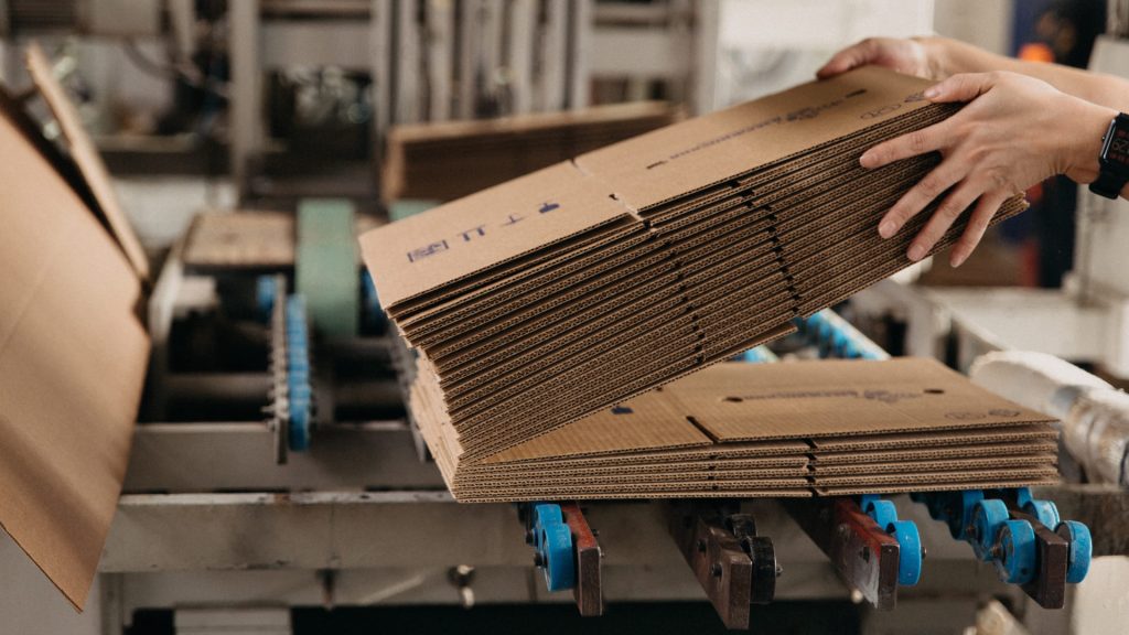Produttori di materie prime per packaging
Film plastici, cartoncino e inchiostri con tracciabilità certificata